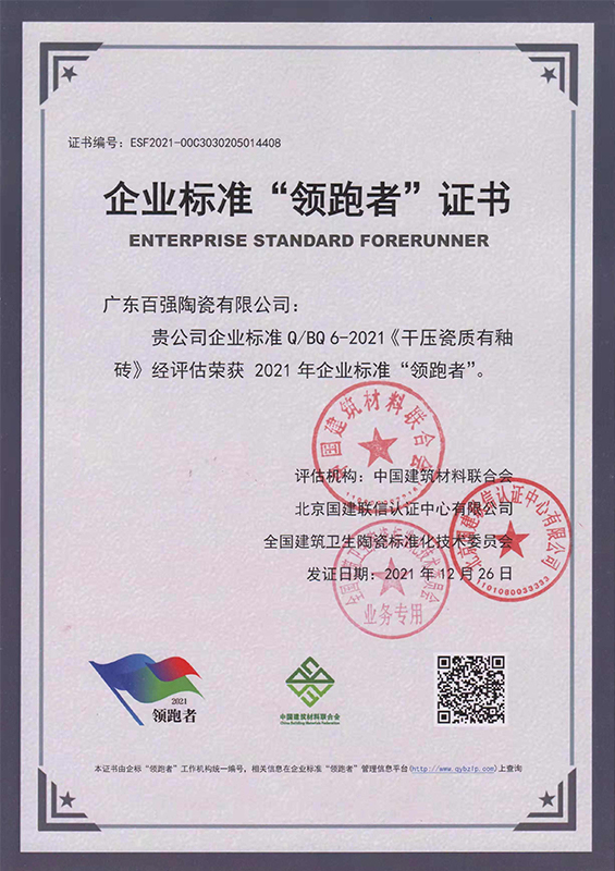 企业标准领跑者证书